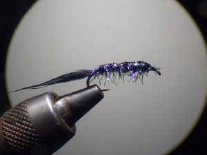 IMGP3309