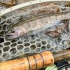 Fly Fishing Guide Trip - River Fishing Reservation Ticket