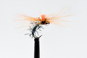 20201216-1