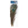 _DSC7003 フェザーアンドフライ | Feather & Fly - ピーコックアイ: Sサイズ 4本セット