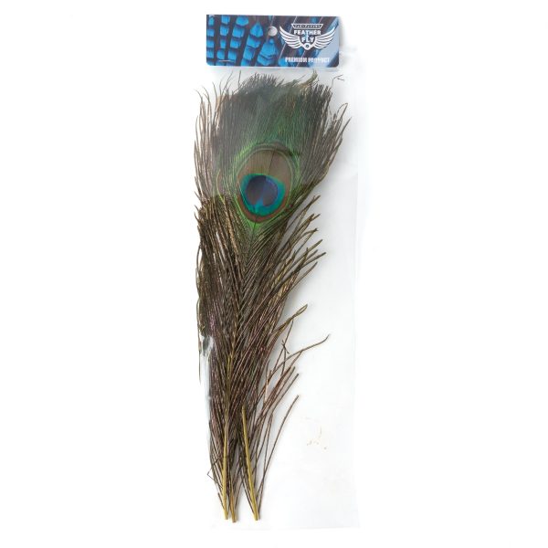 _DSC7003 フェザーアンドフライ | Feather & Fly - ピーコックアイ: Sサイズ 4本セット