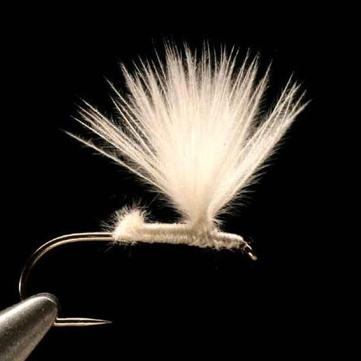 CulDChickFly-03 フェザーアンドフライ | Feather & Fly - チキン CDC (Cul De Coq)