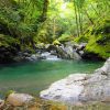 supp01 Fly Fishing Guide Fly-in Trip - Shikoku River Fishing - Reservation Ticket