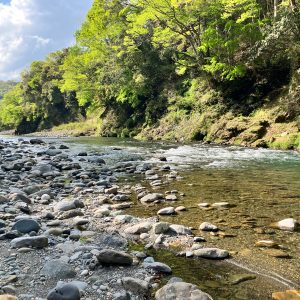 Fly Fishing Guide Trip - River Fishing Reservation Ticket
