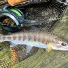 IMG_5468 JMC - YOTO Nymph セミオートフライリール