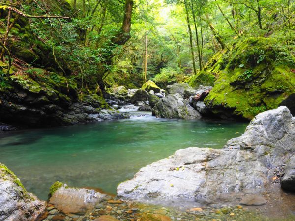 supp01 Fly Fishing Guide Fly-in Trip - Shikoku River Fishing - Reservation Ticket